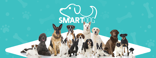Adestramento SmartDog
