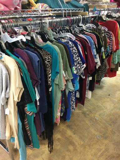 Thrift Store «St. Vincent de Paul Thrift Stores Orlando», reviews and photos, 770 S Orange Blossom Trail, Apopka, FL 32703, USA