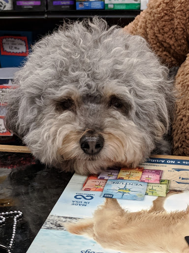 Pet Supply Store «Dawg City Inc.», reviews and photos, 38 Pearson St, Andover, MA 01810, USA