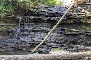 Lower Beamer Falls image