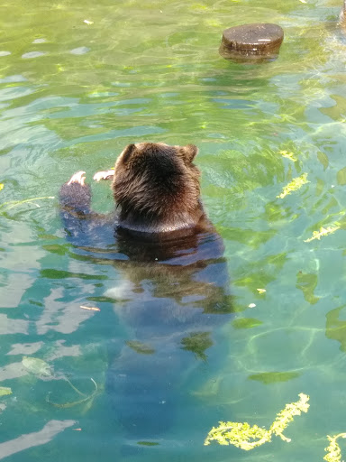 Zoo «Cleveland Metroparks Zoo», reviews and photos, 3900 Wildlife Way, Cleveland, OH 44109, USA