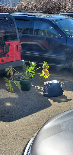 Used Car Dealer «Hassan Automotive», reviews and photos, 21 Newcomb St, Quincy, MA 02169, USA