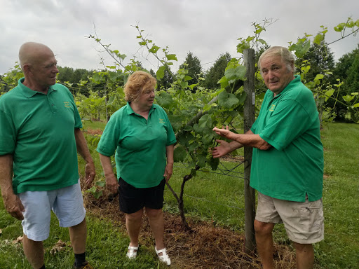 Winery «Lebanon Green Vineyards», reviews and photos, 589 Exeter Rd, Lebanon, CT 06249, USA