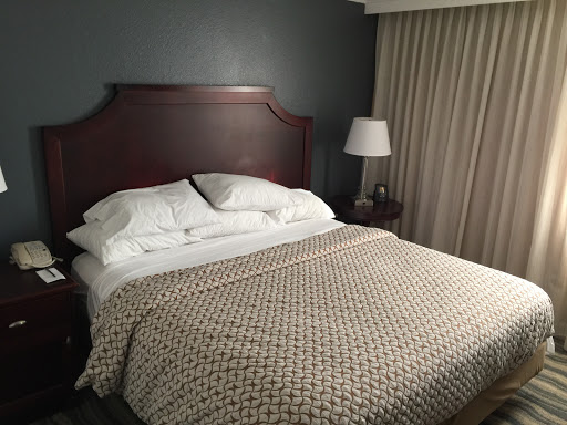 Hotel «Embassy Suites by Hilton Tampa Brandon», reviews and photos, 10220 Palm River Rd, Tampa, FL 33619, USA