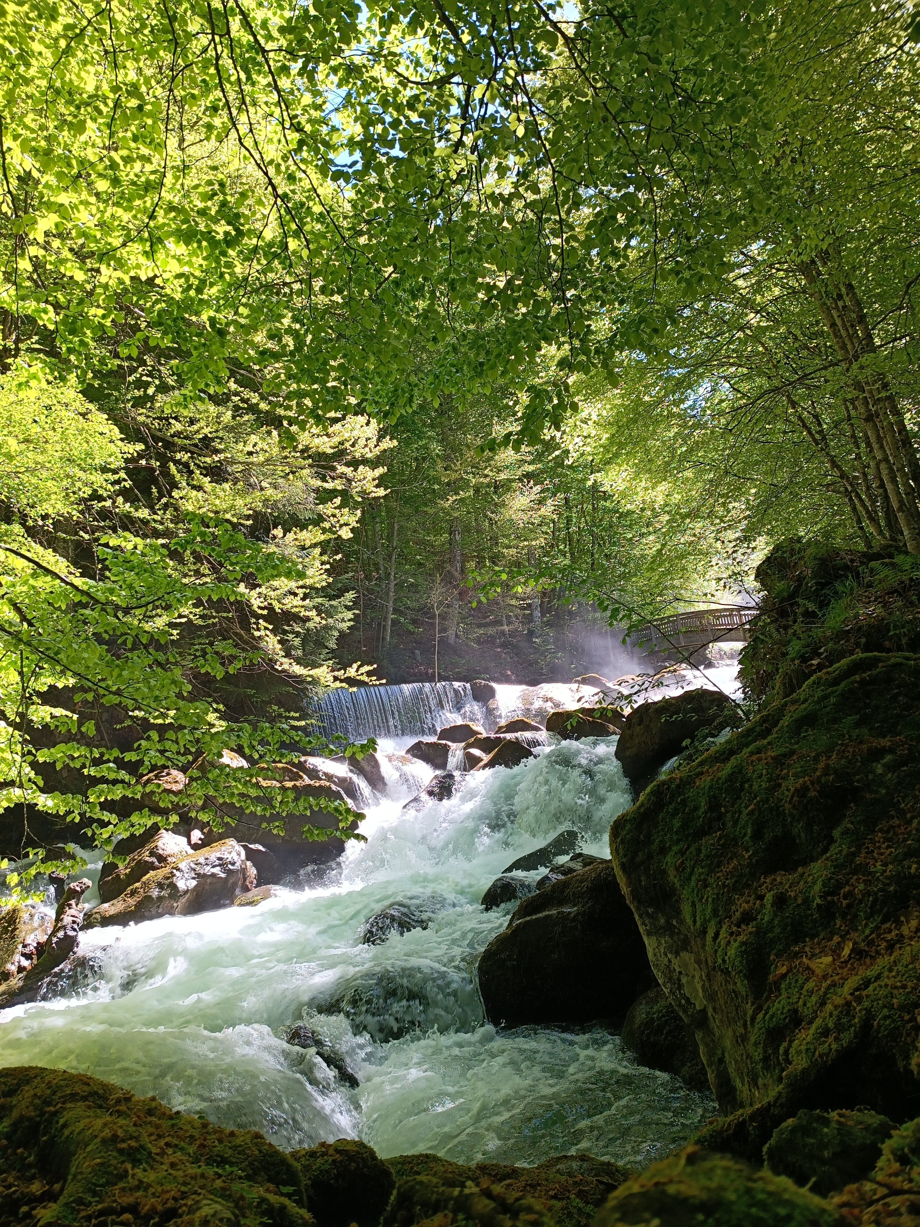 Photo n° 4 de l'avis de Leandre.e fait le 04/05/2023 à 06:51