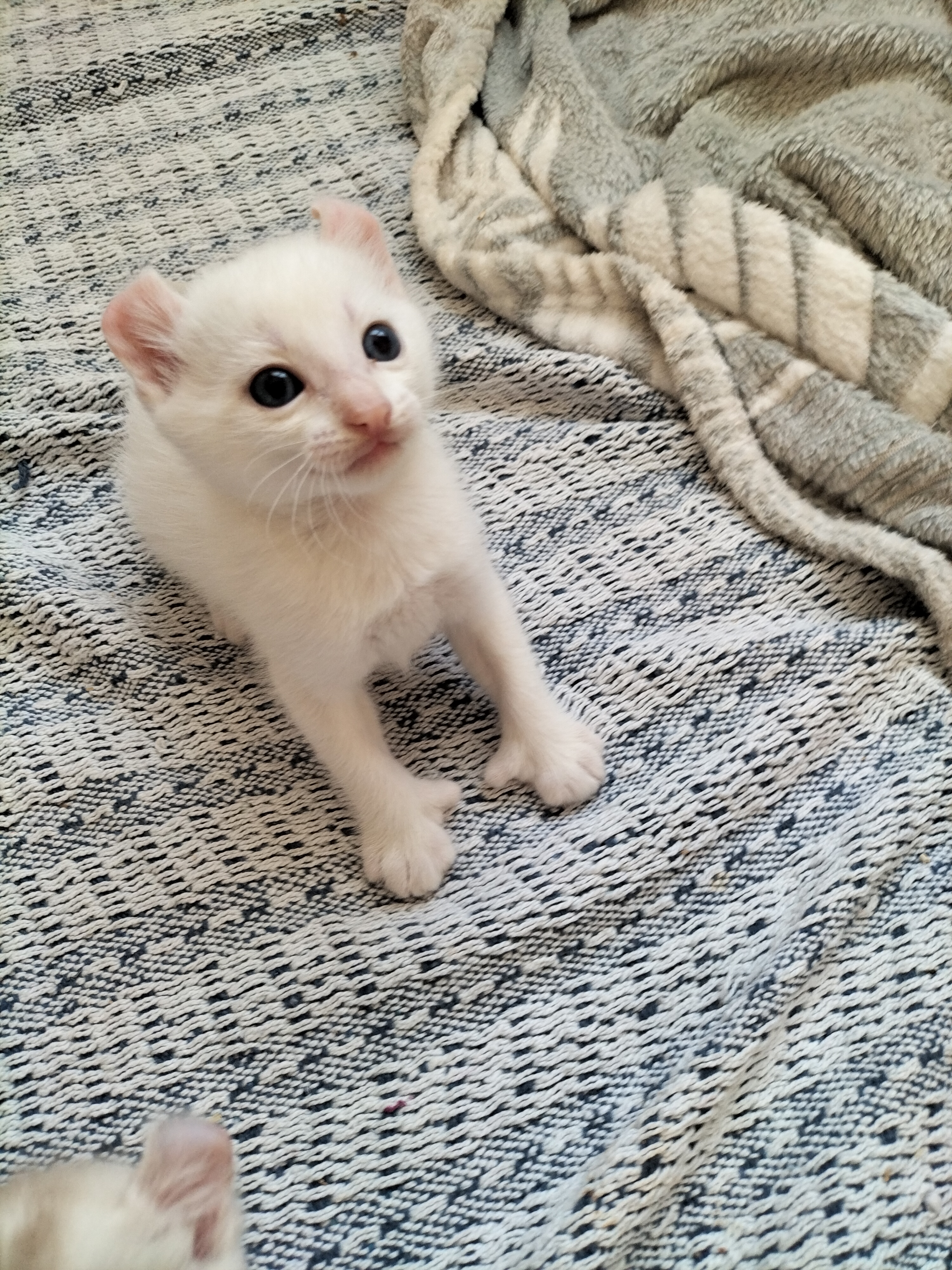 Photo n° 1 de l'avis de Nini.a fait le 29/07/2022 à 15:53