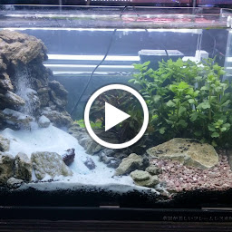 Toko Rejeki Aquarium