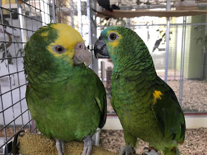 APS - Auffangstation für Papageien und Sittiche