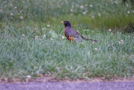 Retreat Center «Refreshing Mountain Retreat and Adventure Center», reviews and photos, 455 Camp Rd, Stevens, PA 17578, USA