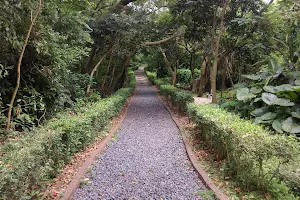 Gaofeng Botanical Garden image