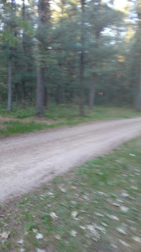 Grocery Store «Meijer», reviews and photos, 15 Caberfae Hwy, Manistee, MI 49660, USA