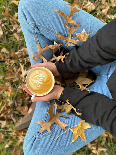 Coffee Shop «Old School Coffee Co.& Frozen Yogurt», reviews and photos, 308 S Locust St, Sweet Springs, MO 65351, USA