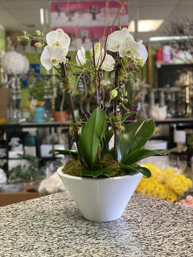 Florist «Abbott Florist», reviews and photos, 1008 71st St, Miami Beach, FL 33141, USA