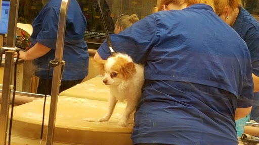 Pet Supply Store «PetSmart», reviews and photos, 14137 Rivergate Pkwy, Charlotte, NC 28273, USA