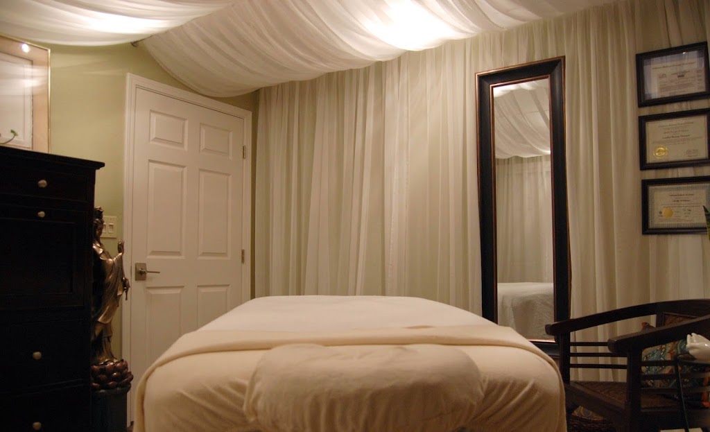 Holly Williams CMT 95070