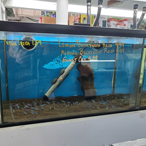 Pet Store «Pet Town», reviews and photos, 7804 Florence Ave, Downey, CA 90240, USA