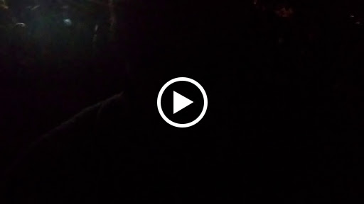 Arena «Agganis Arena», reviews and photos, 925 Commonwealth Avenue, Boston, MA 02215, USA