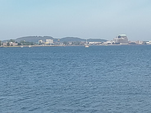 Auto Parts Store «NAPA Auto Parts - Genuine Parts Company», reviews and photos, 1260 Newfield St, Middletown, CT 06457, USA