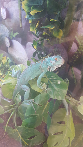 Pet Supply Store «Petco Animal Supplies», reviews and photos, 5263 Campbell Blvd, Nottingham, MD 21236, USA