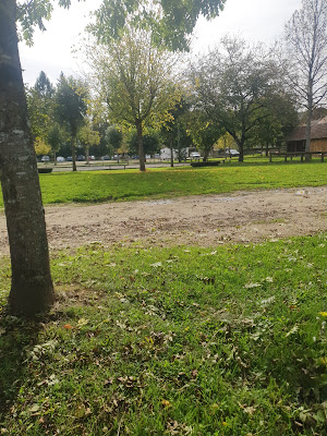 Aire Camping-Car Park à Saint-Léon-sur-Vézère