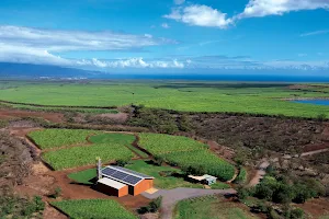 Ocean Vodka Organic Farm and Distillery image