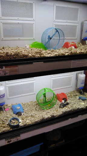 Pet Supply Store «Petco Animal Supplies», reviews and photos, 377 W Jackson St #11, Cookeville, TN 38501, USA
