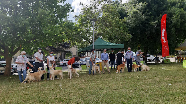 Avaliações doPraça de Touros do Cartaxo em Cartaxo - Associação