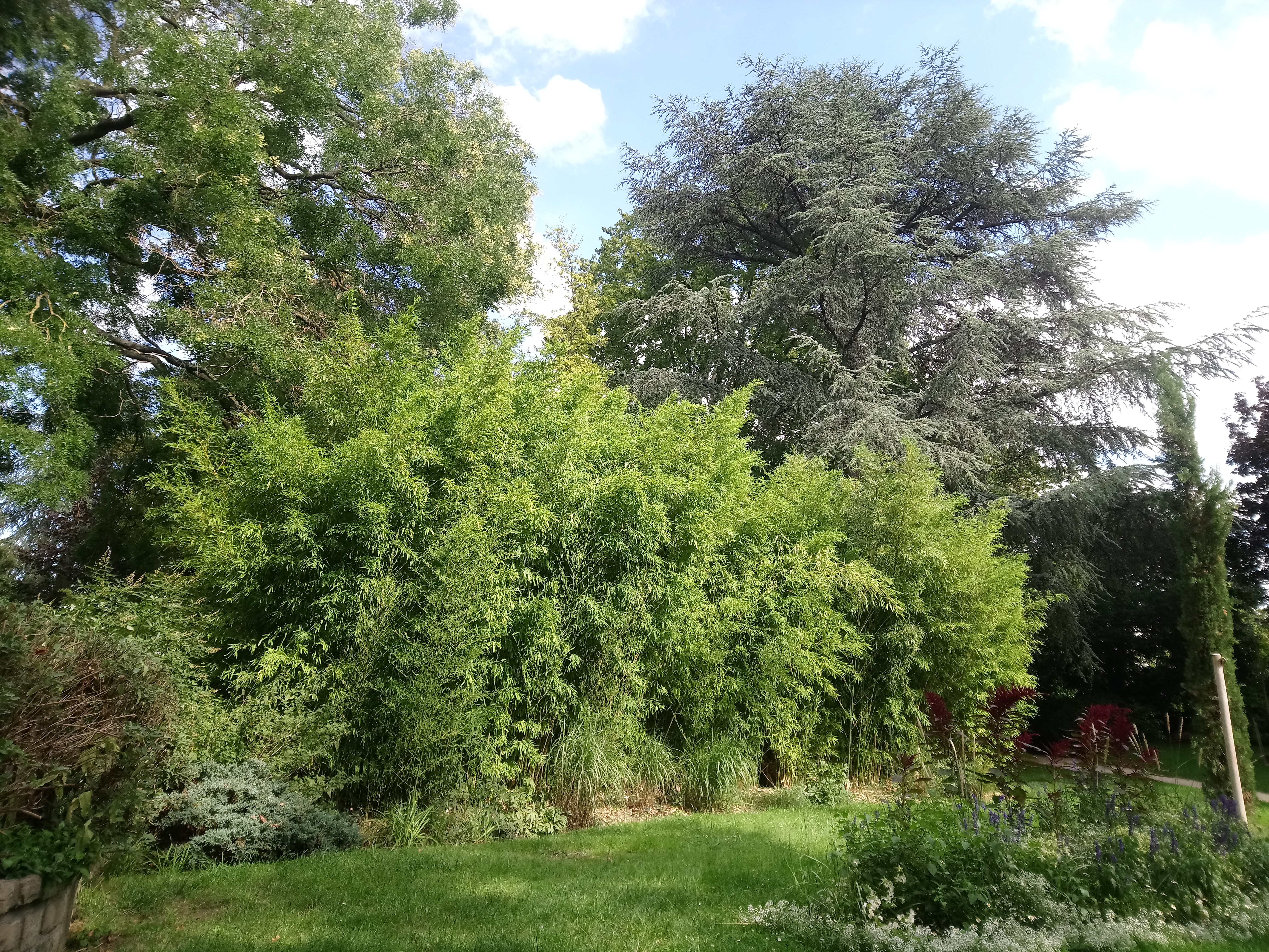 Photo n° 2 de l'avis de Eliezer.s fait le 20/08/2023 à 17:14