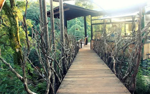 The Glenrock - Luxury Nature Resort image