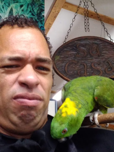 Boutique «Su Casa Boutique», reviews and photos, 1041 N Cedar St, Lansing, MI 48906, USA