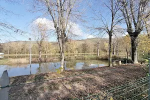 Lago dei Castori image