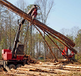 Mid Atlantic Tree Harvestors & Forestry Mulching