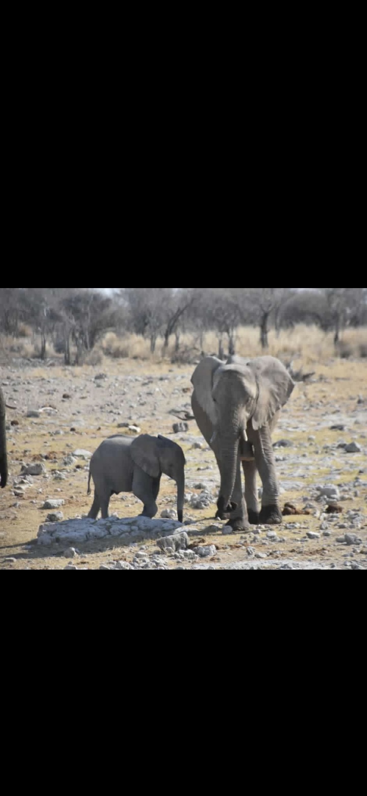 Photo n° 4 de l'avis de David.e fait le 21/03/2024 à 10:03