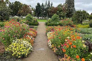 Fort Vancouver Garden image