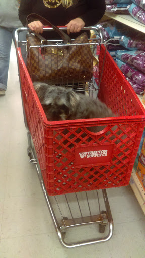 Home Improvement Store «Tractor Supply Co.», reviews and photos, 1551 4th St, Graham, TX 76450, USA