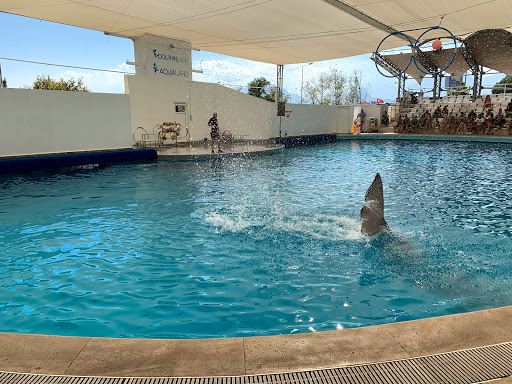 Aqualand Antalya Dolphinland