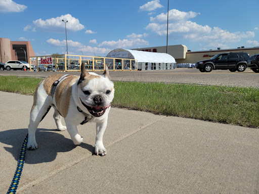 Hardware Store «Scheels Home & Hardware», reviews and photos, 3202 13th Ave S, Fargo, ND 58103, USA