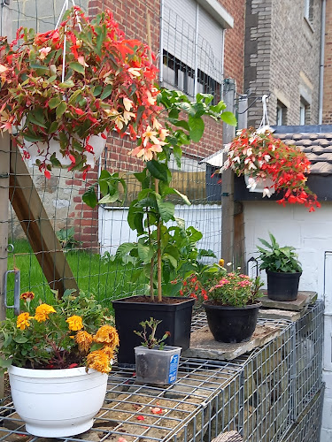 Beoordelingen van Garden La Pâquerette in Luik - Tuincentrum