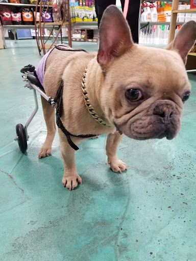  «Animal Crackers», reviews and photos, 280 NE 2nd St, Miami, FL 33132, USA