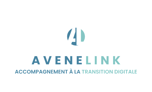 Avenelink - Xerox concession à Borgo