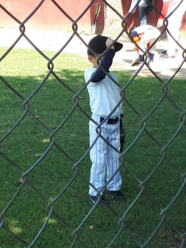 Liga de Béisbol Culiacán Recursos