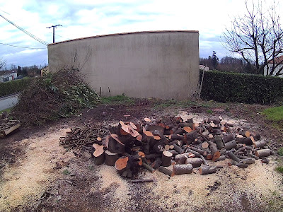 ElémenTerre Service Bûcheronnage à Sèvremont