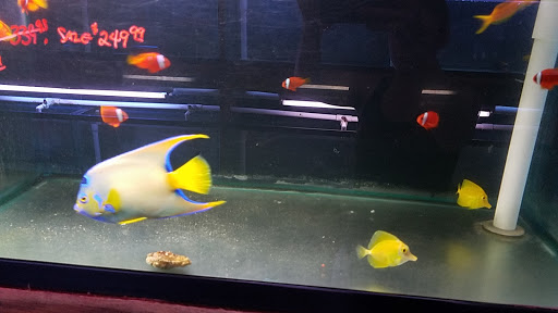 Pet Store «Fish R Us», reviews and photos, 10855 TX-242, Conroe, TX 77385, USA