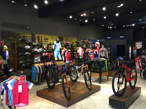 Logo da empresa - MULTIBIKE SPECIALIZED