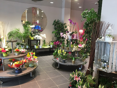 Monceau Fleurs à Brest