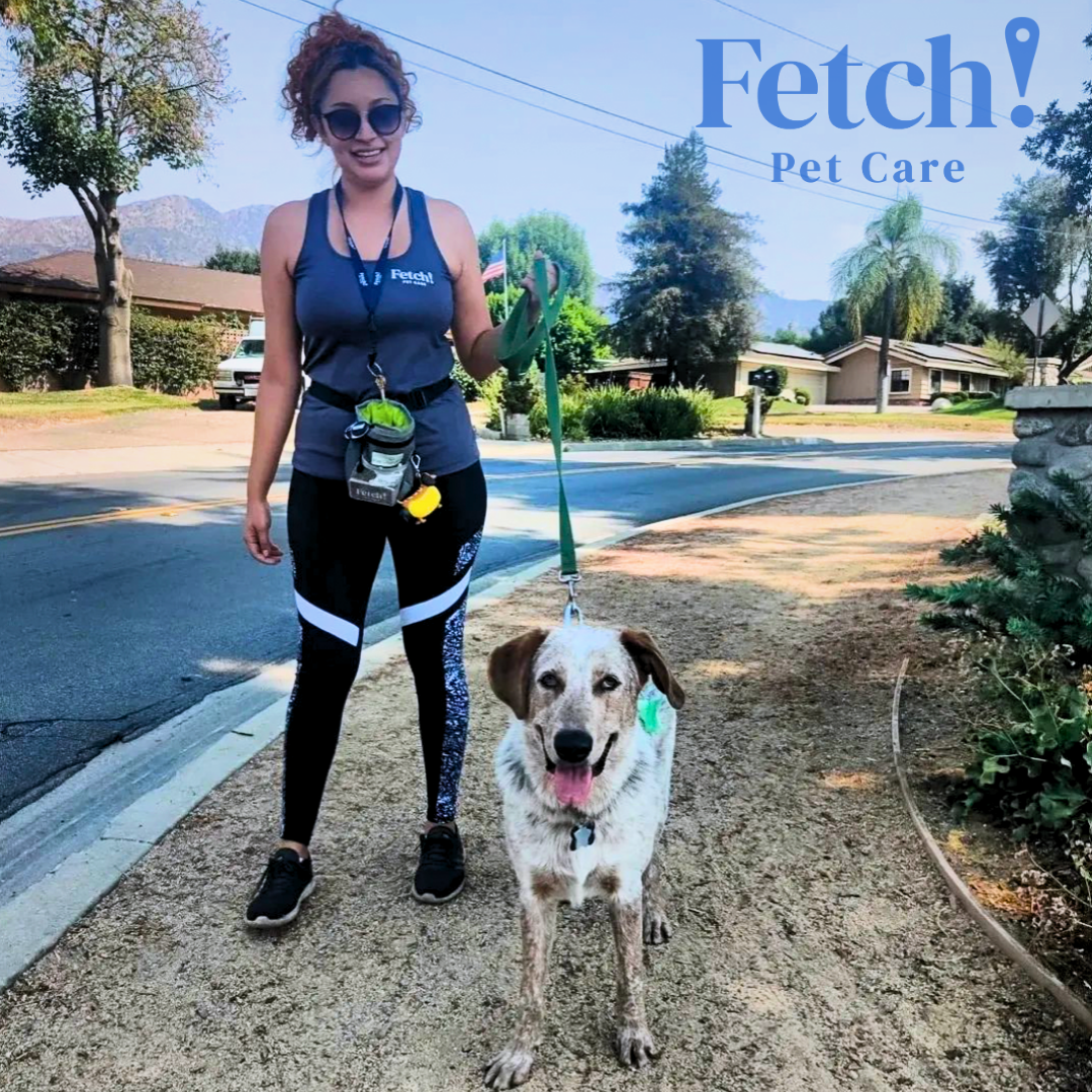 Fetch! Pet Care Las Vegas