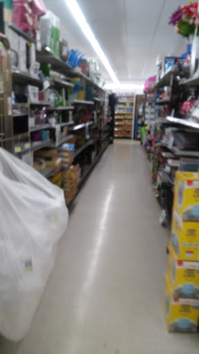 Discount Store «Dollar General», reviews and photos, 311 Riggin Rd, Troy, IL 62294, USA