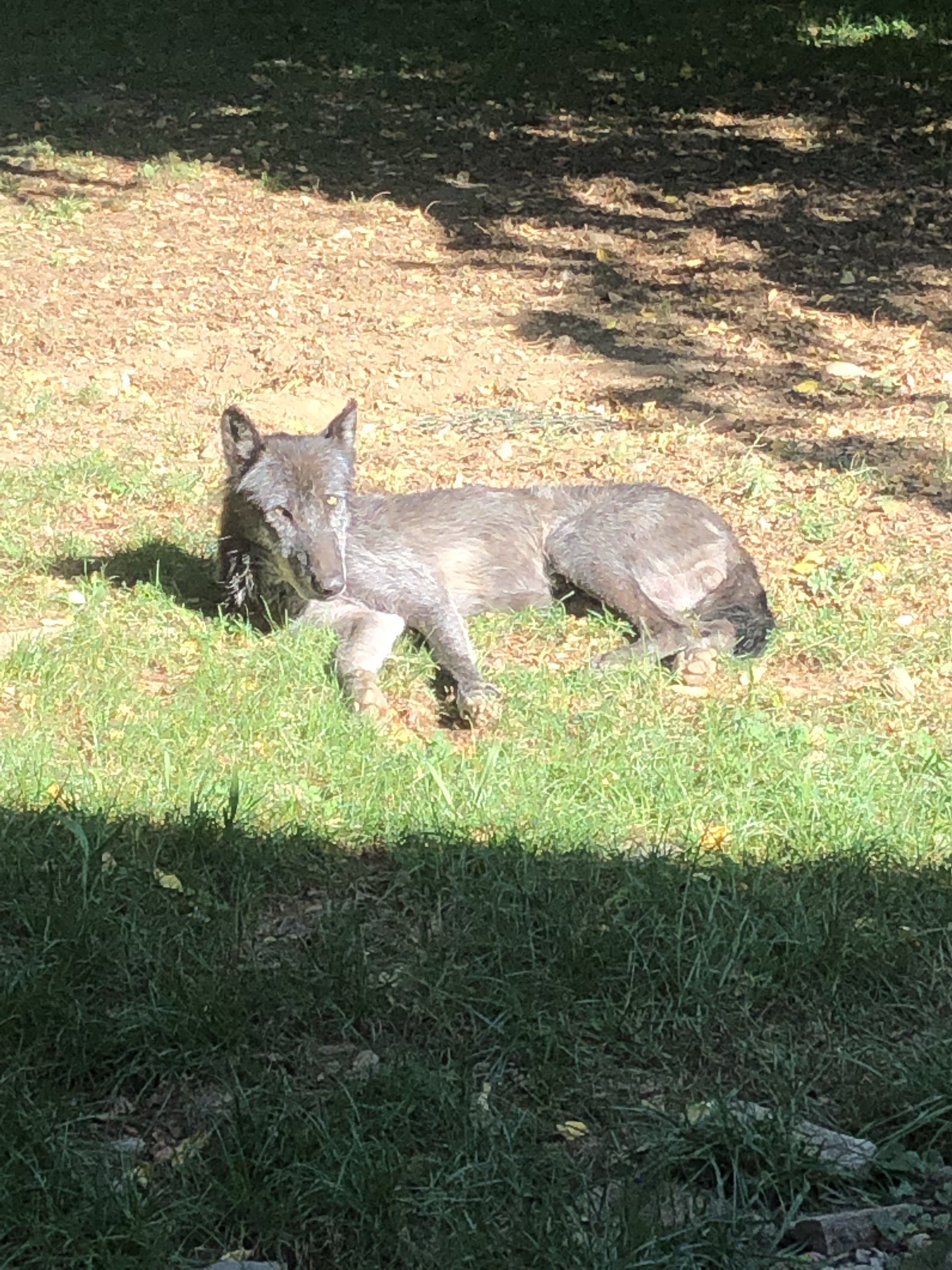 Photo n° 8 de l'avis de yanka.a fait le 20/08/2023 à 10:52