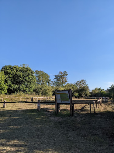 Bivouac Fontainebleau à Fontainebleau