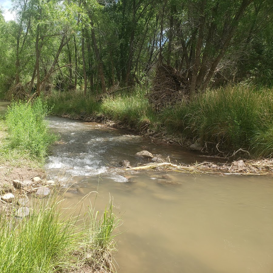 Verde River Greenway State Natural Area